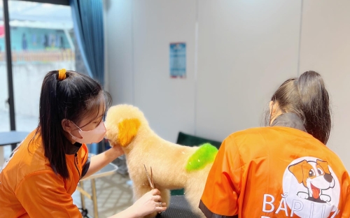 Dịch Vụ Mài Kéo Chuyên Nghiệp – Sắc Bén, Bền Lâu